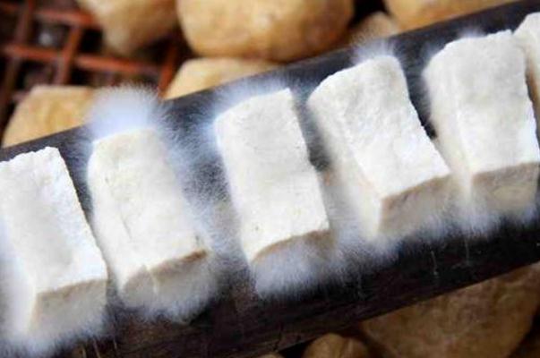 毛豆腐的營養(yǎng)與功效 毛豆腐對人身體有害嗎 毛豆腐的營養(yǎng)與功效 毛豆腐對人身體有害嗎