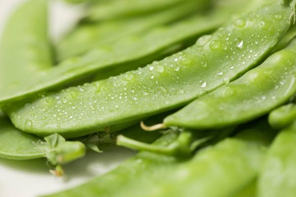 荷蘭豆要去筋嗎 荷蘭豆要不要焯水再炒 荷蘭豆要去筋嗎 荷蘭豆要不要焯水再炒
