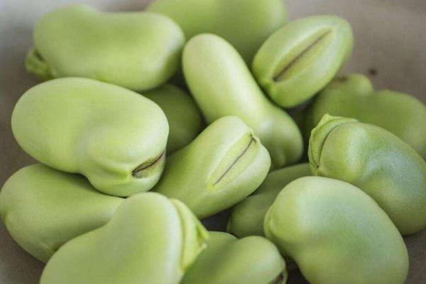 蠶豆的功效與作用禁忌 蠶豆什么季節(jié)上市 蠶豆的功效與作用禁忌 蠶豆什么季節(jié)上市