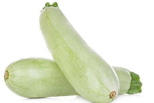 西葫蘆軟了是不是壞了 西葫蘆變質了什么樣