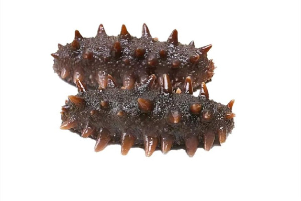 國(guó)足吃海參是什么梗 國(guó)足吃海參的由來(lái)