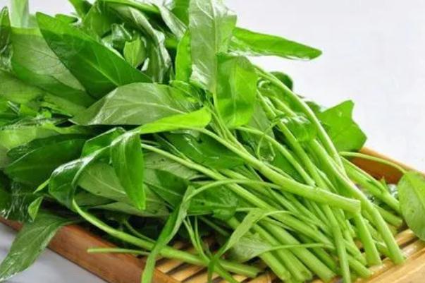 通心菜對身體有什么好處 通心菜對人體有什壞處 通心菜對身體有什么好處 通心菜對人體有什壞處