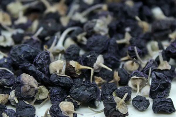 黑枸杞泡水是藍(lán)色的好還是紫色的好 黑枸杞泡水的正確喝法 黑枸杞泡水是藍(lán)色的好還是紫色的好 黑枸杞泡水的正確喝法