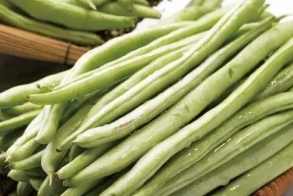 四季豆是什么季節(jié)的菜 四季豆要放冰箱嗎 四季豆是什么季節(jié)的菜 四季豆要放冰箱嗎