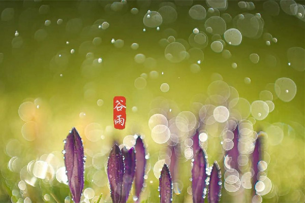 谷雨節(jié)氣會(huì)下雨嗎 谷雨節(jié)氣下雨好還是不下雨好 谷雨節(jié)氣會(huì)下雨嗎 谷雨節(jié)氣下雨好還是不下雨好