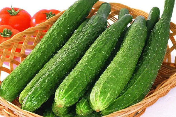 黃瓜怎么吃減肥效果最好 黃瓜的熱量是多少卡 黃瓜怎么吃減肥效果最好 黃瓜的熱量是多少卡