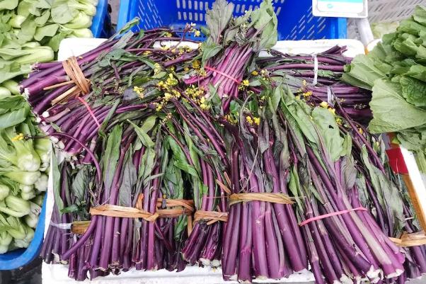 菜苔怎么炒好吃 菜苔北方叫什么菜 菜苔怎么炒好吃 菜苔北方叫什么菜