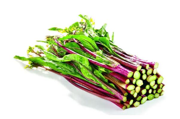 菜苔有幾種 吃紅菜苔會長胖嗎 菜苔有幾種 吃紅菜苔會長胖嗎