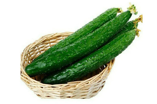 黃瓜和青瓜是同一種 黃瓜和青瓜的區(qū)別 黃瓜和青瓜是同一種 黃瓜和青瓜的區(qū)別