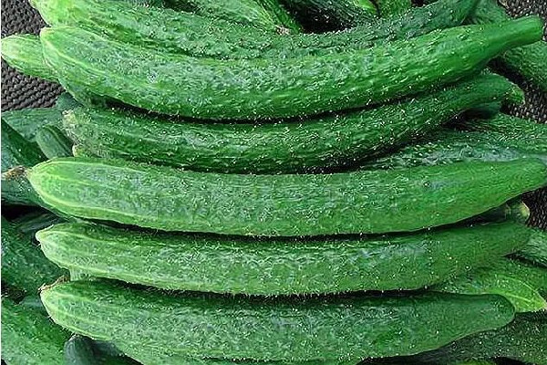 黃瓜可以美容嗎 黃瓜對(duì)皮膚的功效與作用 黃瓜可以美容嗎 黃瓜對(duì)皮膚的功效與作用