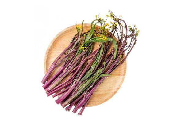 菜苔是熱性還是涼性 菜苔要放冰箱嗎 菜苔是熱性還是涼性 菜苔要放冰箱嗎