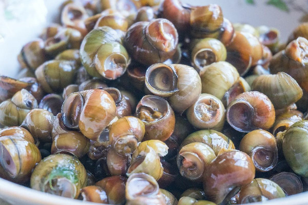 螺螄怎么吃吃哪個(gè)部位 螺螄有沙能吃嗎 螺螄怎么吃吃哪個(gè)部位 螺螄有沙能吃嗎