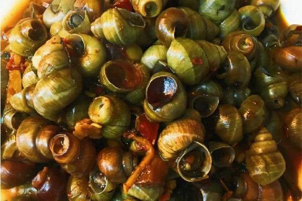 螺螄是海鮮嗎 螺螄的嘌呤含量有多少 螺螄是海鮮嗎 螺螄的嘌呤含量有多少