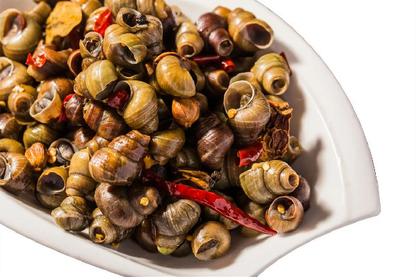 螺螄什么時(shí)候最好吃 螺螄是什么動(dòng)物 螺螄什么時(shí)候最好吃 螺螄是什么動(dòng)物