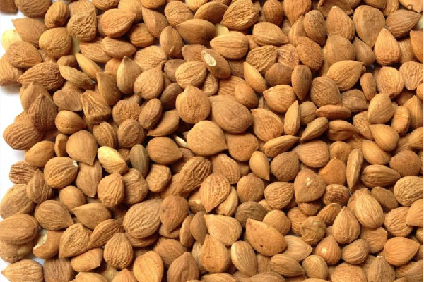 苦杏仁會導致流產(chǎn)嗎 ?苦杏仁對孕婦有影響嗎 苦杏仁會導致流產(chǎn)嗎 ?苦杏仁對孕婦有影響嗎