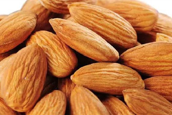 苦杏仁要煮多長時(shí)間 苦杏仁可以炒熟直接吃嗎 苦杏仁要煮多長時(shí)間 苦杏仁可以炒熟直接吃嗎