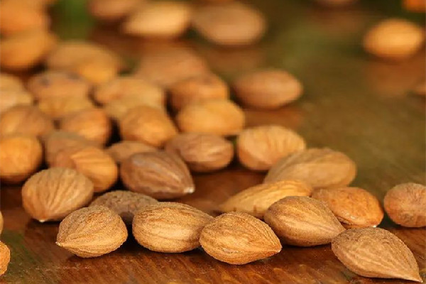 苦杏仁是南杏還是北杏 苦杏仁是什么果實(shí) 苦杏仁是南杏還是北杏 苦杏仁是什么果實(shí)