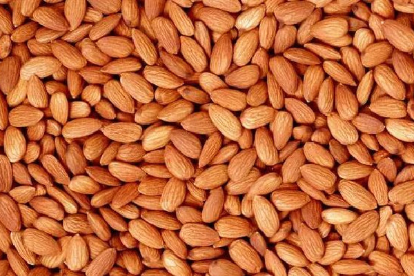 苦杏仁會導致流產(chǎn)嗎 ?苦杏仁對孕婦有影響嗎 苦杏仁會導致流產(chǎn)嗎 ?苦杏仁對孕婦有影響嗎