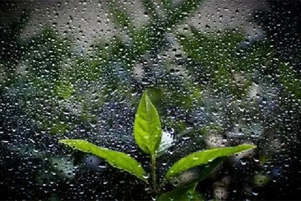 回南天用除濕機有用嗎 回南天怎么保持室內(nèi)干燥