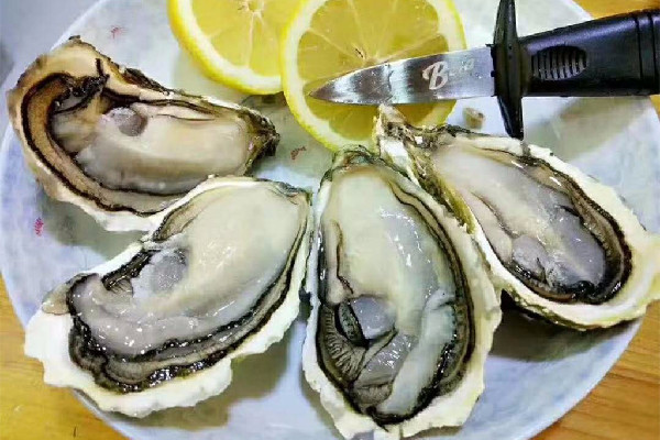 生蠔是牡蠣的一種嗎 生蠔和牡蠣怎么區(qū)分 生蠔是牡蠣的一種嗎 生蠔和牡蠣怎么區(qū)分