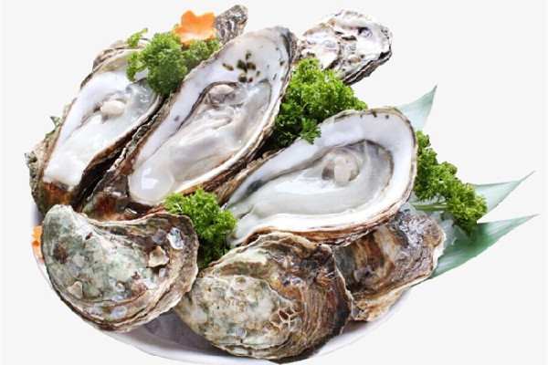 生蠔是開水蒸還是冷水蒸 生蠔蒸多長時間最好吃 生蠔是開水蒸還是冷水蒸 生蠔蒸多長時間最好吃