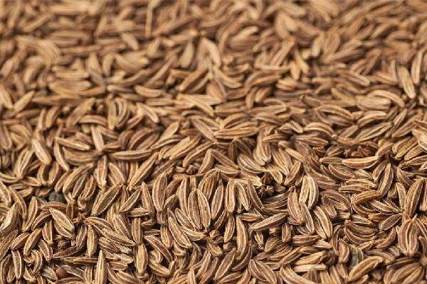 孜然粉吃多了對(duì)人體有害嗎 孜然粉一次放多少 孜然粉吃多了對(duì)人體有害嗎 孜然粉一次放多少