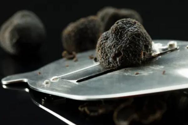 黑松露要放冰箱嗎 黑松露保存方法 黑松露要放冰箱嗎 黑松露保存方法