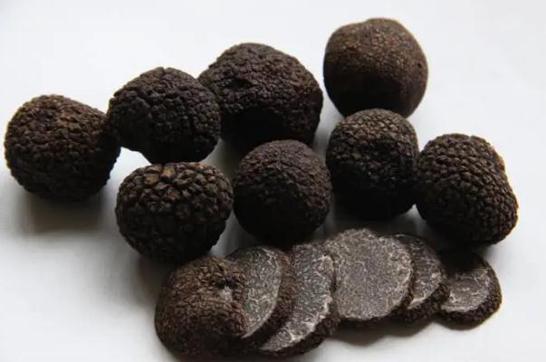 黑松露要放冰箱嗎 黑松露保存方法 黑松露要放冰箱嗎 黑松露保存方法