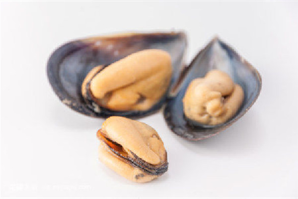 海虹吐沙多長時間 海虹吐沙最快方法 海虹吐沙多長時間 海虹吐沙最快方法