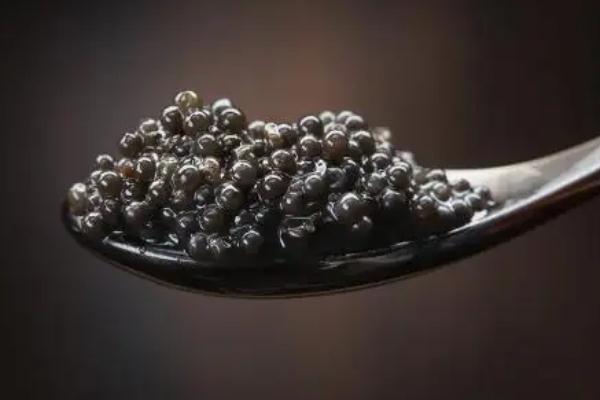 魚子醬有腥味嗎 魚子醬有保質(zhì)期嗎 魚子醬有腥味嗎 魚子醬有保質(zhì)期嗎