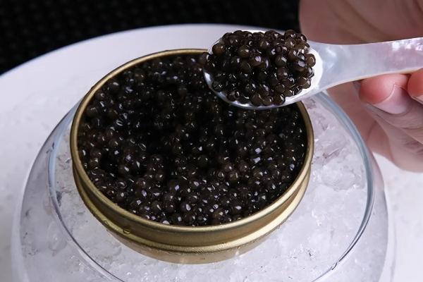 魚子醬的功效與作用 魚子醬是什么魚的卵 魚子醬的功效與作用 魚子醬是什么魚的卵