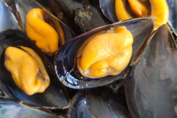 海虹不能和什么東西一起吃 海虹和西紅柿可以一起吃嗎 海虹不能和什么東西一起吃 海虹和西紅柿可以一起吃嗎