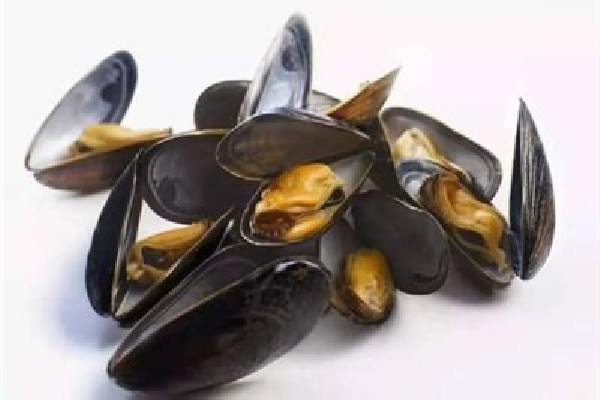 海虹買(mǎi)來(lái)都張口了還能吃嗎 買(mǎi)海虹需要注意什么