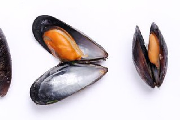 海虹什么季節(jié)吃最肥 海虹是什么東西 海虹什么季節(jié)吃最肥 海虹是什么東西