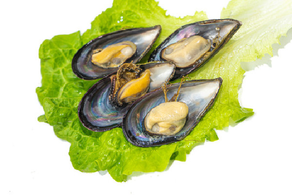 海虹不能和什么東西一起吃 海虹和西紅柿可以一起吃嗎 海虹不能和什么東西一起吃 海虹和西紅柿可以一起吃嗎