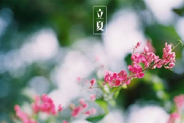 立夏要吃雞蛋嗎 立夏吃雞蛋的寓意 立夏要吃雞蛋嗎 立夏吃雞蛋的寓意