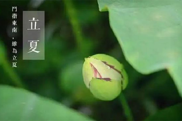 立夏后天氣還會(huì)冷嗎 立夏后多久開始熱 立夏后天氣還會(huì)冷嗎 立夏后多久開始熱