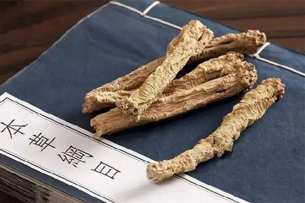 黨參可以放多久 黨參怎么保存 黨參可以放多久 黨參怎么保存