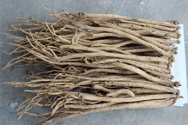 黨參適合什么季節(jié)吃 黨參是什么味道 黨參適合什么季節(jié)吃 黨參是什么味道