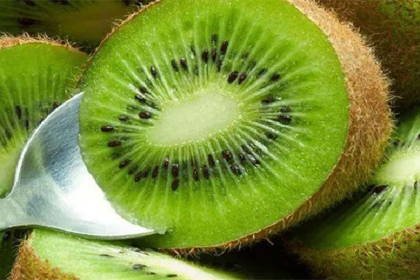 獼猴桃和香蕉能一起吃嗎 獼猴桃與什么不能同食 獼猴桃和香蕉能一起吃嗎 獼猴桃與什么不能同食