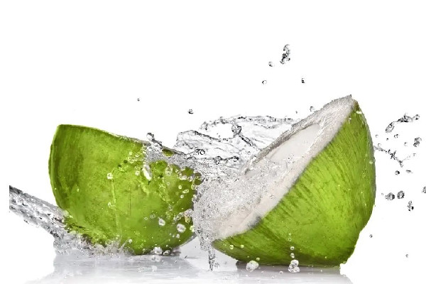 椰子水對(duì)孕婦的功效與作用 椰子水孕婦什么時(shí)候開(kāi)始喝 椰子水對(duì)孕婦的功效與作用 椰子水孕婦什么時(shí)候開(kāi)始喝