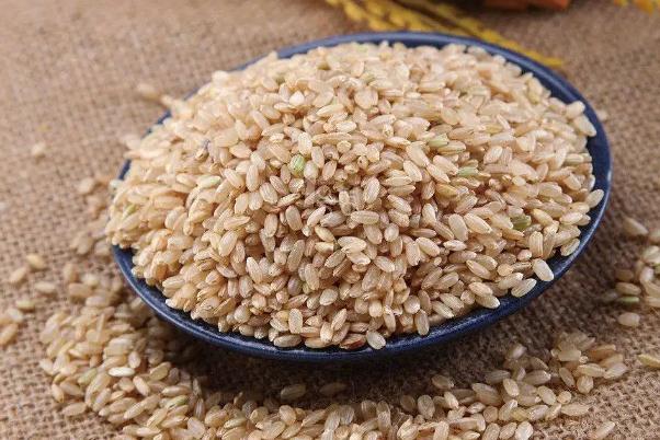 糙米會(huì)長胖嗎 糙米會(huì)便秘嗎