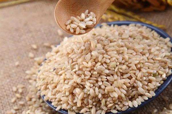 糙米和大米的區(qū)別 糙米要泡多久才能煮飯 糙米和大米的區(qū)別 糙米要泡多久才能煮飯