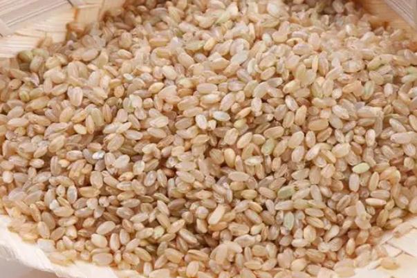 糙米和大米的區(qū)別 糙米要泡多久才能煮飯 糙米和大米的區(qū)別 糙米要泡多久才能煮飯