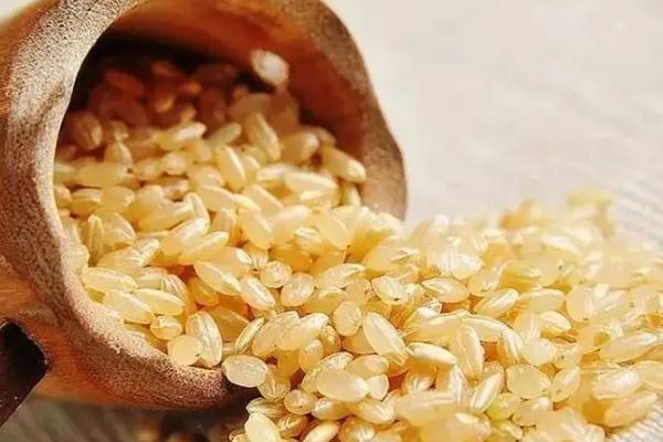 糙米飯熱量比米飯更高為何還能減肥 糙米飯放多少水合適 糙米飯熱量比米飯更高為何還能減肥 糙米飯放多少水合適
