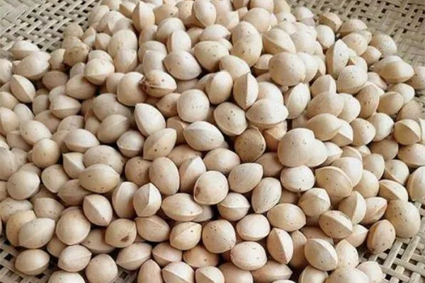 白果發(fā)苦能吃嗎 白果苦味怎么去掉 白果發(fā)苦能吃嗎 白果苦味怎么去掉