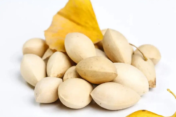 白果可以放冰箱保存嗎 白果保質(zhì)期多久 白果可以放冰箱保存嗎 白果保質(zhì)期多久