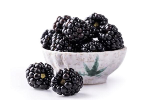 黑樹莓孕婦可以吃嗎 黑樹莓是什么季節(jié)的水果 黑樹莓孕婦可以吃嗎 黑樹莓是什么季節(jié)的水果
