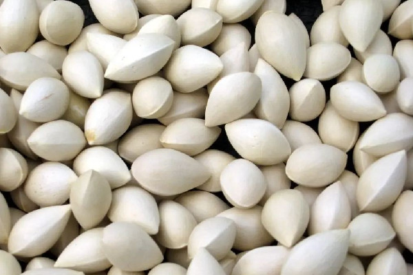 白果用微波爐打幾分鐘能熟 白果怎么做好吃 白果用微波爐打幾分鐘能熟 白果怎么做好吃