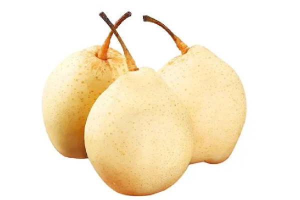 雪梨多少錢一斤 雪梨是哪里產(chǎn)的 雪梨多少錢一斤 雪梨是哪里產(chǎn)的